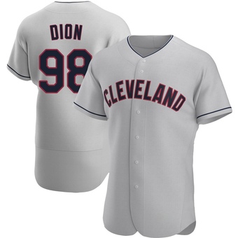 Authentic Cleveland Guardians Will Dion Road Jersey - Gray