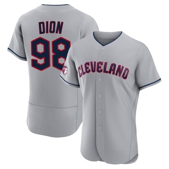 Authentic Cleveland Guardians Will Dion Road Jersey - Gray