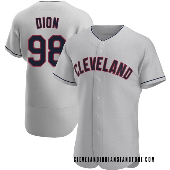 Authentic Cleveland Guardians Will Dion Road Jersey - Gray