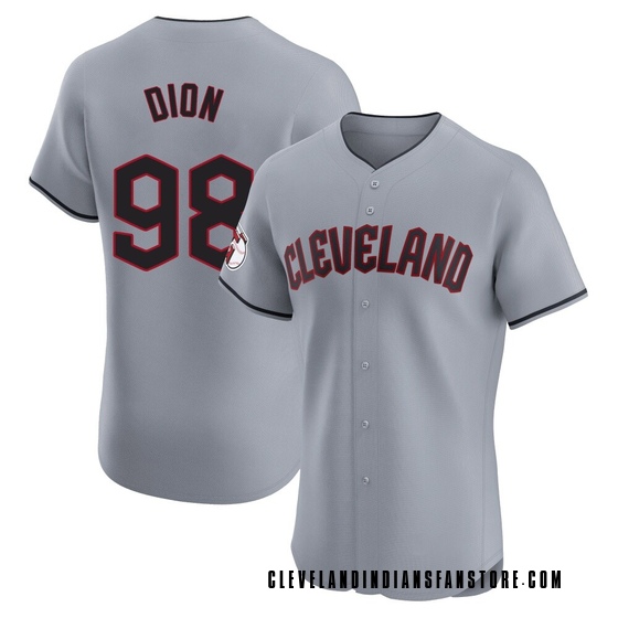 Elite Cleveland Guardians Will Dion Road Jersey - Gray