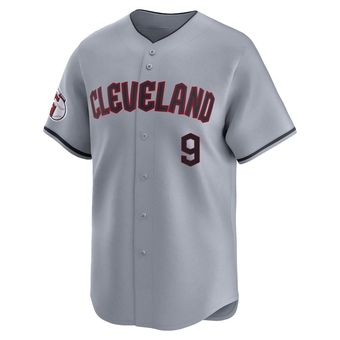 Youth Limited Cleveland Guardians Rico Carty Road Jersey - Gray